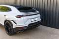 Lamborghini Urus Performante / full Carbon / full ADAS/23"/3D B&O Blanc - thumbnail 12