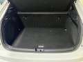 Volkswagen Taigo 1.5 TSI R-Line DSG 110kW Blanco - thumbnail 37