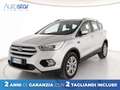 Ford Kuga 1.5 tdci Business s&s 2wd 120cv Argento - thumbnail 1