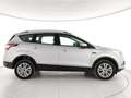 Ford Kuga 1.5 tdci Business s&s 2wd 120cv Argento - thumbnail 3