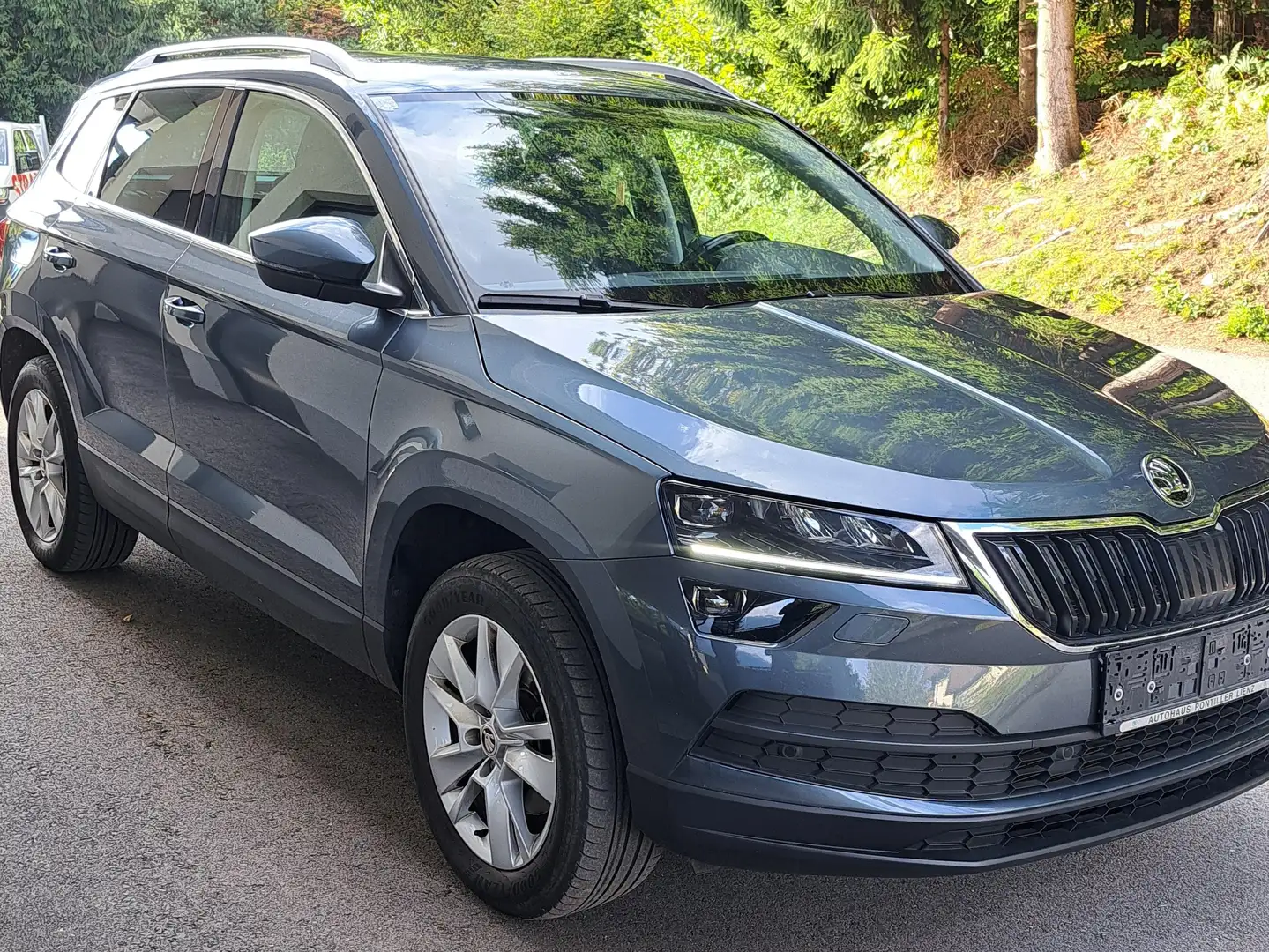 Skoda Karoq Karoq 2,0 TDI SCR 4x4 Style 125 DSG Style 125 Grau - 2