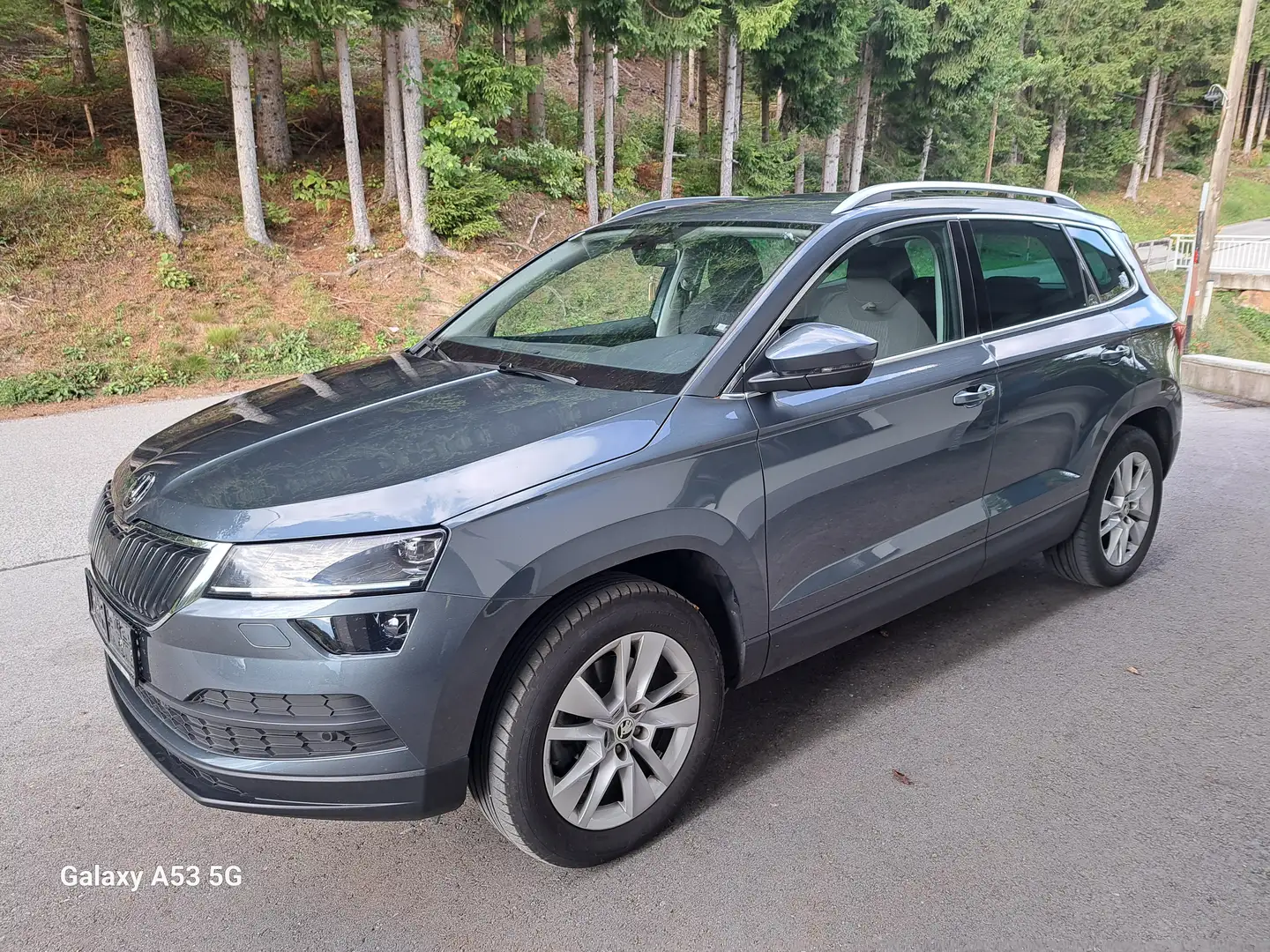 Skoda Karoq Karoq 2,0 TDI SCR 4x4 Style 125 DSG Style 125 Grau - 1