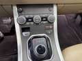 Land Rover Range Rover Evoque 5p 2.0 td4 SE 150cv auto my19 Schwarz - thumbnail 15