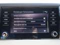 Skoda Karoq 2.0 TDI Style 4x4 LED PDC Navi SHZ beh.WSS Zwart - thumbnail 16