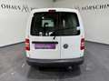 Volkswagen Caddy Caddy Kastenwagen 2,0 TDI 4MOTION Weiß - thumbnail 5