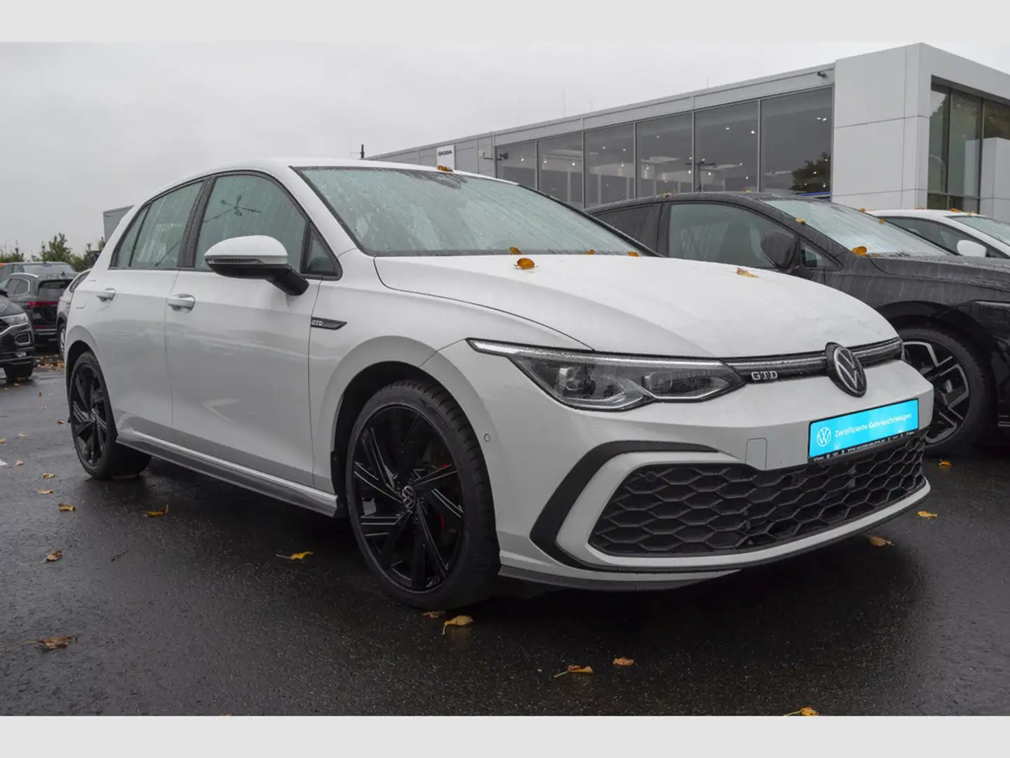 Volkswagen Golf VIII GTD 2.0 TDI DSG AHK, Kamera, Keyles Weiß - 2