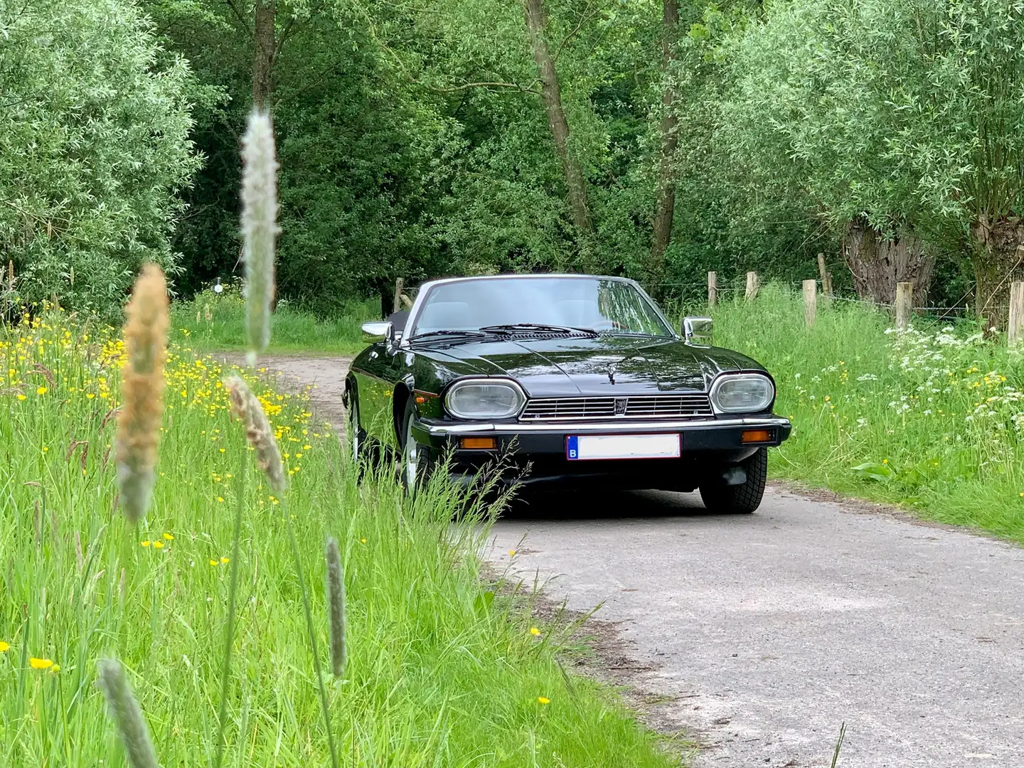 Jaguar XJS XJSC V12 Automatik Convertible Zwart - 2
