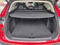 BAIC Senova X55 Beijing X55 7-Gang DCT Rojo - thumbnail 16