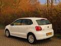 Volkswagen Polo 1.2 TSI BlueMotion Edition Blanc - thumbnail 3