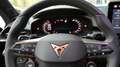 CUPRA Terramar 2.0 TSI 204 PS DSG 4Drive Schwarz - thumbnail 12