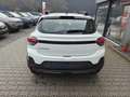 Dacia Sandero Stepway Expression Step 2026 TCe110 Winter Pake... Weiß - thumbnail 5