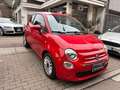 Fiat 500 500 BENZ.  1.0 hybrid  70cv Rosso - thumbnail 3