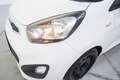 Kia Picanto 1.0 Concept Blanco - thumbnail 10
