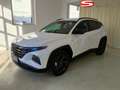 Hyundai TUCSON Tucson 1,6 CRDI 4WD 48V Trend Line Plus DCT Weiß - thumbnail 3