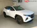 Hyundai TUCSON Tucson 1,6 CRDI 4WD 48V Trend Line Plus DCT Weiß - thumbnail 1