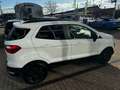 Ford EcoSport Cool & Connect mit Winter-Paket Weiß - thumbnail 10