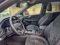 Ford Kuga ST-Line X PHEV Navi Panoramadach AHK .... Bleu - thumbnail 7