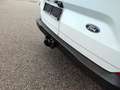 Ford Transit Custom Kasten 2,0 EcoBlue L1H1 320 Trend Weiß - thumbnail 7