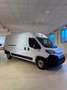 Fiat Ducato Ducato Serie 2 Furgone Lastrato 35q Lh2 140cv 2.2 Biały - thumbnail 2