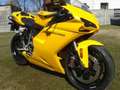 Ducati 1098 Jaune - thumbnail 9