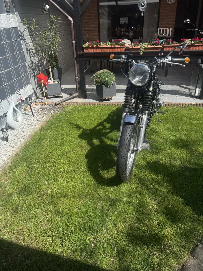 Norton - 1