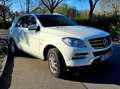 Mercedes-Benz ML 250 ML 250 BlueTEC 4MATIC Aut. DPF Weiß - thumbnail 2