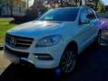 Mercedes-Benz ML 250 ML 250 BlueTEC 4MATIC Aut. DPF Weiß - thumbnail 1
