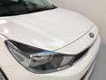 Kia Rio 1.2i CLIM CAMERA APPLE CAR PLAY GARANTIE KIA 2028! Blanc - thumbnail 5
