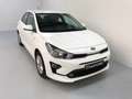 Kia Rio 1.2i CLIM CAMERA APPLE CAR PLAY GARANTIE KIA 2028! Blanc - thumbnail 3