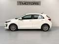Kia Rio 1.2i CLIM CAMERA APPLE CAR PLAY GARANTIE KIA 2028! Blanc - thumbnail 7