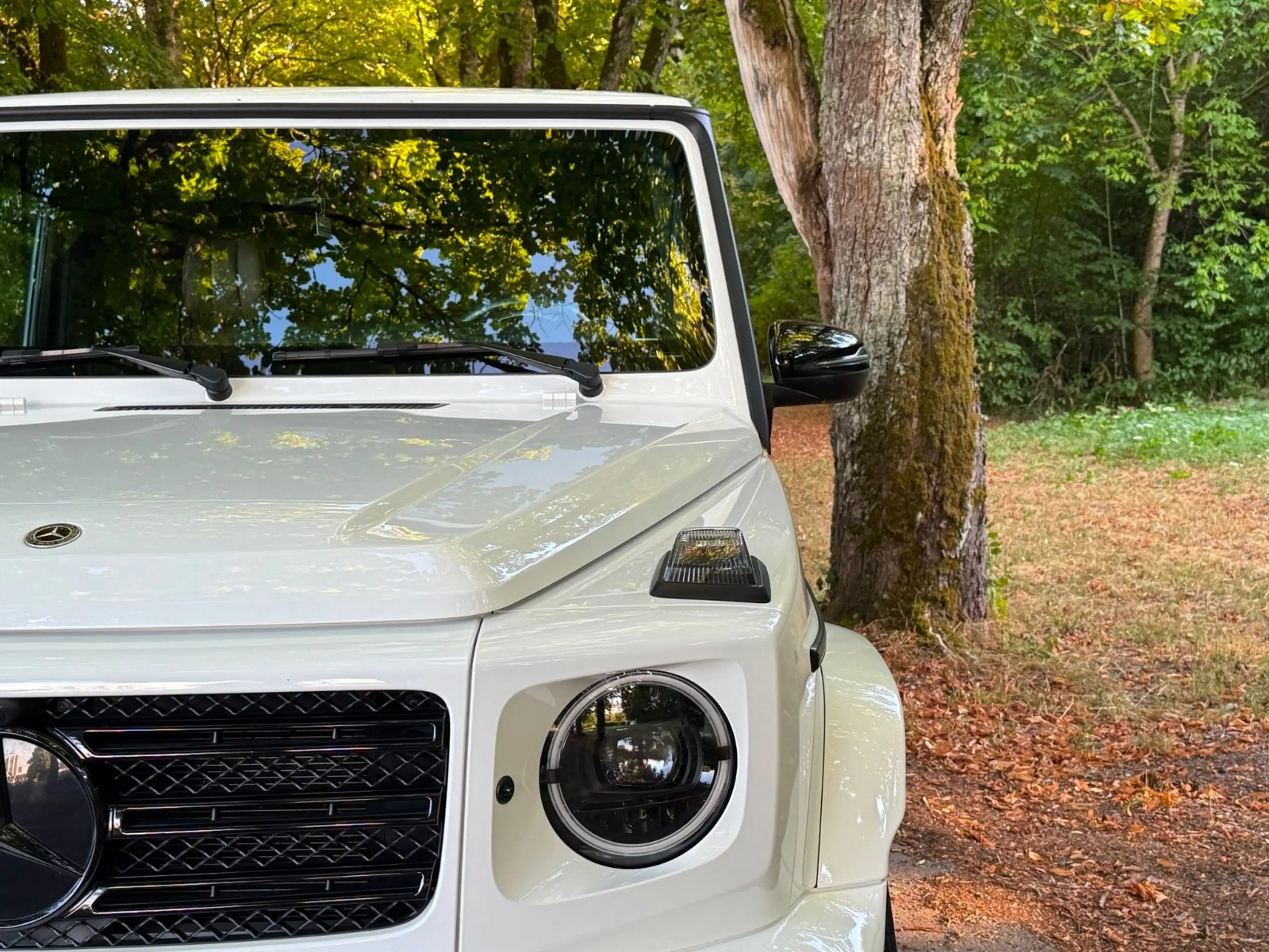 Mercedes-Benz G 400 d*AMG*BURMESTER*CARBON*MWST* — photo 10