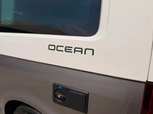 Volkswagen T6 California view 4