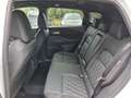 Nissan Qashqai 1,3 MHEV 4x4 Tekna+ Xtronic *ab € 38.990,-* Weiß - thumbnail 12