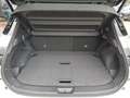 Nissan Qashqai 1,3 MHEV 4x4 Tekna+ Xtronic *ab € 38.990,-* Weiß - thumbnail 14