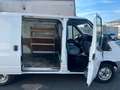 Ford Transit Kasten FT 260 K City Light 2.2 TDCI L1H1 Weiß - thumbnail 11