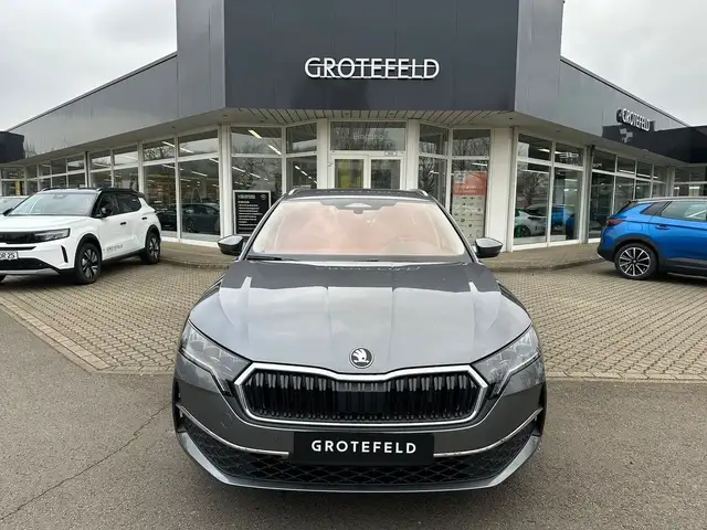 2025 Skoda Octavia in Grey for sale