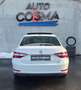Skoda Superb Style Weiß - thumbnail 7