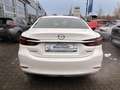 Mazda 6 SKYACTIV-G 194 Drive i-ELOOP Sports-Line White - thumbnail 4
