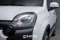 Fiat Panda 1.0 Firefly Hybrid 70CV Cross 5p.ti Weiß - thumbnail 3