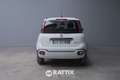 Fiat Panda 1.0 Firefly Hybrid 70CV Cross 5p.ti Weiß - thumbnail 5