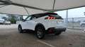 Peugeot 2008 BlueHDi 110 Active Pack S/S Weiß - thumbnail 6