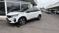 Peugeot 3008 3008 GT BHDI130 EAT8 Weiß - thumbnail 1