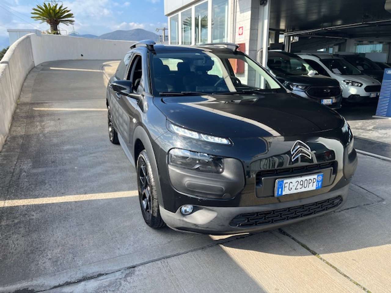 Citroen C4 C4 Cactus 2014 Cactus 1.6 bluehdi Feel 100cv