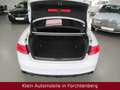 Audi A5 Coupe 2.0 TFSI quattro S Line Sport Plus Gris - thumbnail 14