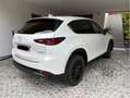 Mazda CX-5 e-SKYACTIV-G 194 AWD Aut. Homura - thumbnail 5