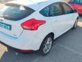 Ford Focus 1.0 Ecoboost Auto-S&S Titanium 125 Blanco - thumbnail 5
