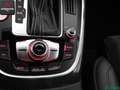 Audi SQ5 SQ5 3.0 TDI qu V6 CARBON,BANG+O,KEYLESS,ACC,PANO Schwarz - thumbnail 20