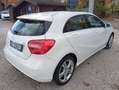 Mercedes-Benz A 180 Classe A -180 CDI  Sport Bianco - thumbnail 8