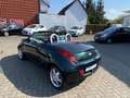 Ford Streetka 1.6 Elegance RoadsterCabrio/Leder/Klima Grün - thumbnail 16