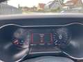 Ford Mustang Basis Convertible Grau - thumbnail 13